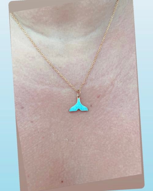 Collar Dolphin turquoise